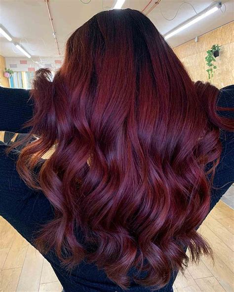 plum brown hair color